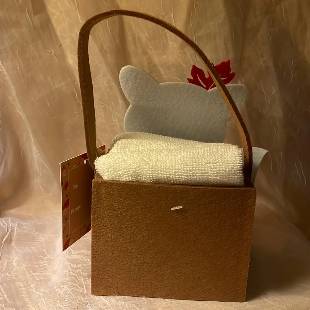 NWT- 3 pack washcloths 100% cotton in felt basket w/ raccoon on front
